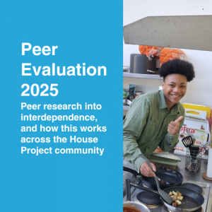 Peer Evaluation 2025